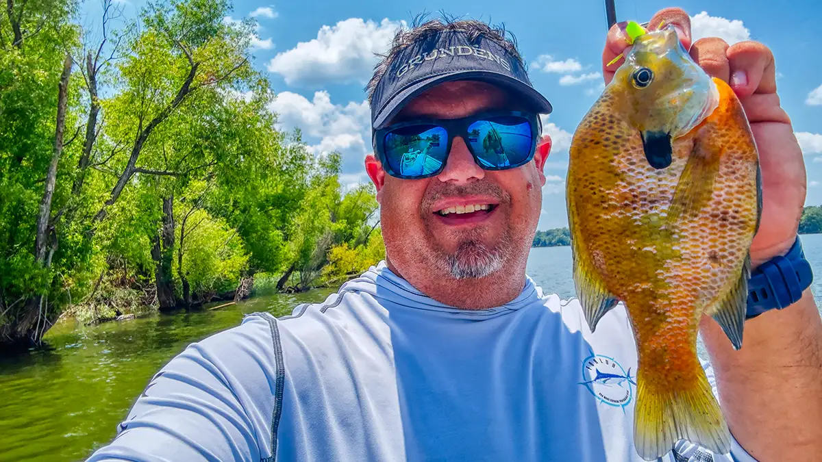 island optics mako xl