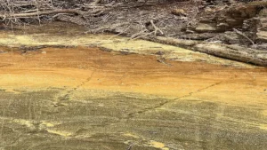 The Pros and Cons of Pollen