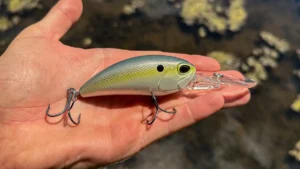 Duo Realis G87 15A Crankbait Review