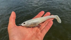 Berkley Powerbait Cullshad Swimbait Review