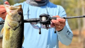 Lew’s Custom Lite Rod Review