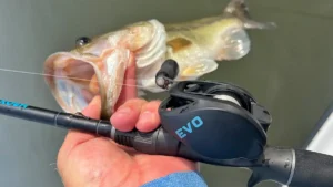 H2Ox Evo Baitcasting Reel Review