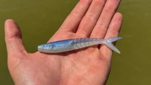 Zoom Shimmer Shad Review