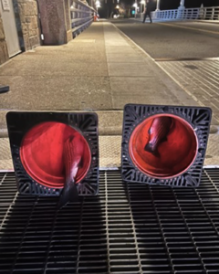Striped Bass Poachers Hide Fish in Traffic Cones