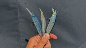 How to Fish a Jerkbait