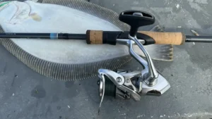 Shimano Stradic FM Review