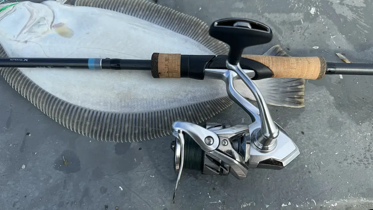 Stradic FM reel seated on a spinning rod on top of a summer flounder