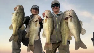 Best Bass Fishing Lakes in the USA