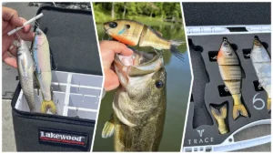 Big Bait Storage Ideas