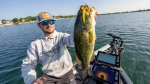 Neko Rig Tips for Bass Around Bluegill Beds