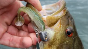 Underspins for Consistent Bass and Panfish Success