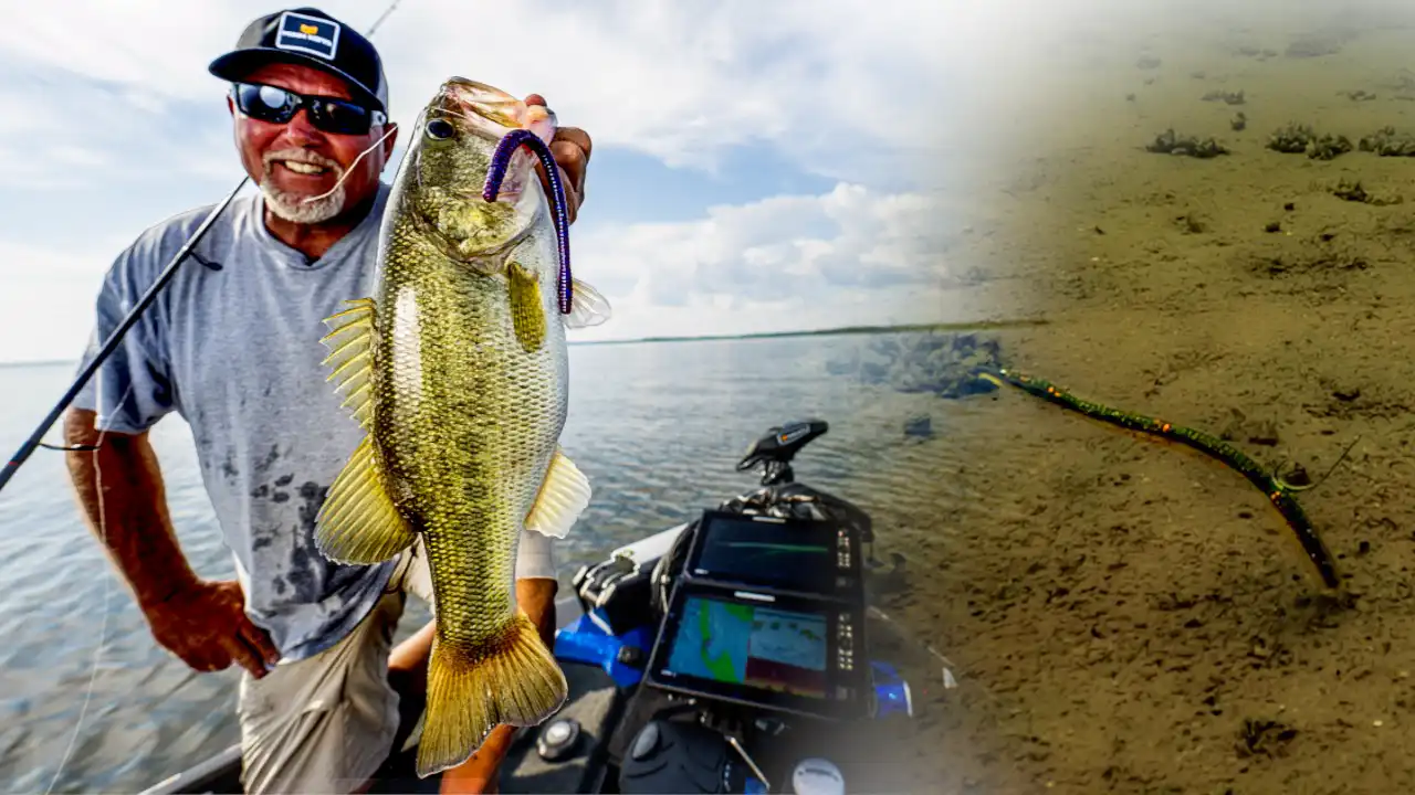 Neko-rig-offshore-bass