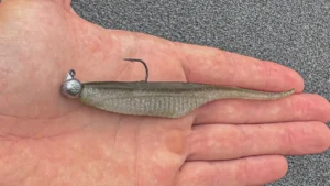 Duo Realis Versa Pintail 5.0 Review
