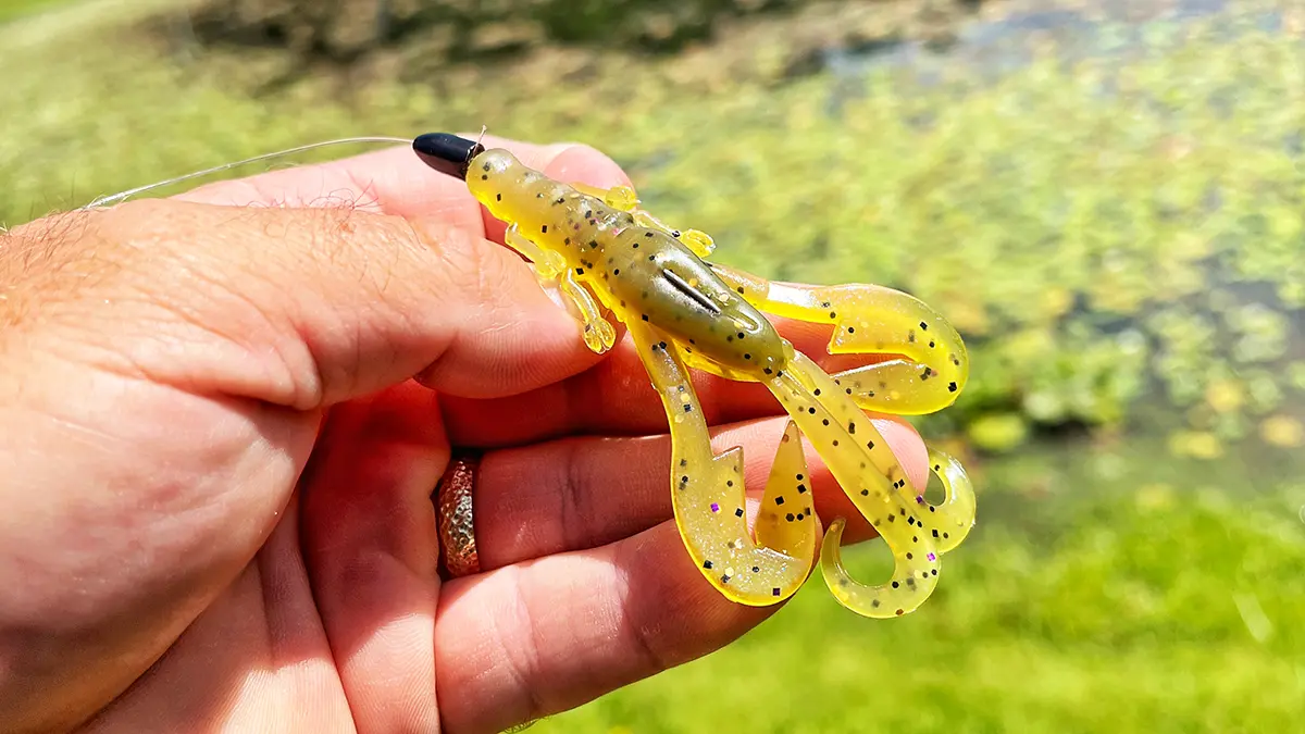 BassMooch Brawler Bug Creature BassMooch Brawler Bug bait