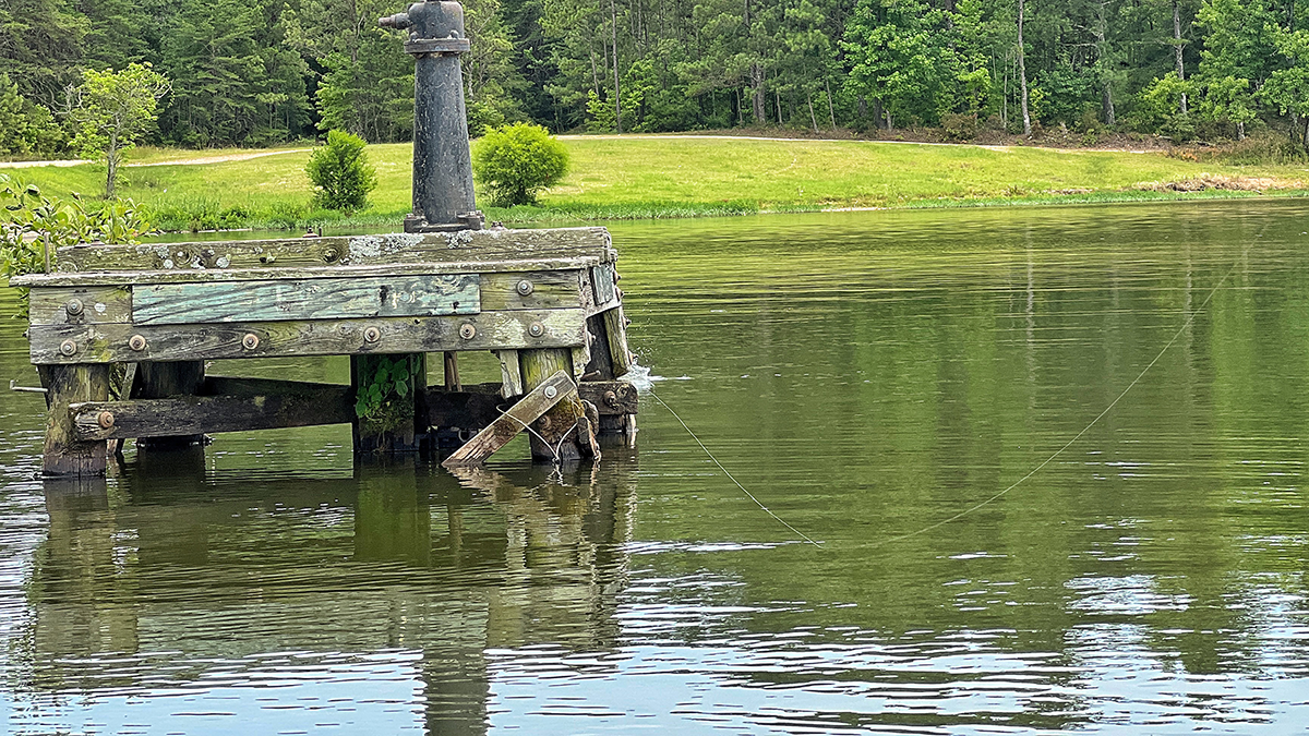We’ve almost broken free of the stranglehold of summer. The days are getting a little shorter, and that’s a bummer. But at least it takes going outside for me to start sweating at this point, instead of perspiring at just the thought of it. Ultimately, cooler nights are on the horizon, and so are cooler days. That means one thing to anglers: Bass are about to be on the move, with the majority of them returning to the shallows after summering out in deeper water. But—while there will eventually be bass and bait abounding shallow—they won’t show up everywhere all at once. So, how do you find the first shallow bass of fall? Here are five quick tips. START NEAR DEEP WATER While bass will often swim long distances, the odds of finding bass that are moving from deep water to shallow water increase the closer to deep water you get. For example, running straight to the back of a big bay off the main lake will likely result in slim pickings the first week of October. Instead, start along the main river channel where a channel swing pops up onto a flat near a bluff wall. Transitional areas like this will collect fish, which can slide up out of 20 feet of water and post up on a log in 2 feet of water within a matter of seconds, as opposed to having to traverse hundreds of yards to find shallow cover to hunker down by. BAIT AND ACTIVITY Keeping your head on a swivel this time of year is key. You want to be constantly scanning the shallows for activity along the surface. Sometimes you’ll see what my dad and I refer to as “nervous water,” where a wad of baitfish are scurrying along the surface in an attempt to out maneuver a predator below. Other times you’ll see bass and other fish actively busting on bait. Either way, this will help you narrow down your search for shallow bass that are often sparsely scattered early in the fall. If you don’t see any bait or activity in the area, don’t waste a lot of time there. If you do see some signs of life, stay put and try to figure out how to get them to bite. CURRENT A little current can go a long way in helping you find shallow bass late in the summer and early in the fall. Moving water is typically cooler and more oxygenated than stagnant water. Lakes and even streams and rivers can become very stagnant during this time of the year, when rainfall is scarce and droughts set in. Still, power companies have to generate power, which means water is often discharging below dams. These are some of the most productive areas early in the fall for finding bass shallow. It’s also a good idea to look for any creeks or even big pockets where runoff from late summer storms can concentrate fish. COVER AND SHADE The water temps are still in the 80s in many places south of the Mason Dixon when the calendar rolls over from summer to fall. That’s better than it was, but still a heavy burden for cold-blooded bass to bear. The environment the fish are in largely dictates their moods. And they are in the best moods when their body temps are around 72 degrees. This is why cover and shade are so critical in the early fall. Bass are returning to the shore in pursuit of food, and need a minute to reacclimate themselves to the warmer/shallower water. Sitting in a brush pile, posting up in a patch of grass or hunkering down under a dock gives the bass a chance to catch their breath and cool off a little–while also making them easy to target. WATER COLOR The color of the water can be used to help you locate productive areas as well, and more importantly rule areas out. Water will often get a green or brown tint to it in the fall, which is evidence of an algae bloom in the area. As this algae dies, the oxygen levels in the water deplete, which puts the fish in a funk and makes them hard to catch. You’re typically better off looking for clear or even muddy water as opposed to this green/brown tinted water. These other water clarities — even the muddier water — will usually have better oxygen levels, especially if there’s a little current. There are exceptions to this though. The algae bloom can come on suddenly, and bait and bass may already be prevalent in an area. So if you see green water but you also see bass busting on bait, definitely don’t write the area off right away. The presence of bait and bass trump the importance of the water color. But don’t be surprised if you return a day or two later and the bait and bass have both vacated the area. FINAL THOUGHTS Fall can offer some of the best shallow-water fishing of the season, but you have to know where to look. Take these tips out on the water the next couple weeks. Hopefully you can get on a good shallow bite soon.
