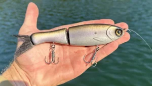 Clutch Darter Glide Bait Review