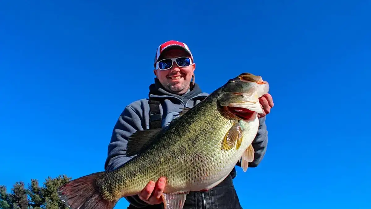 TN state record bass