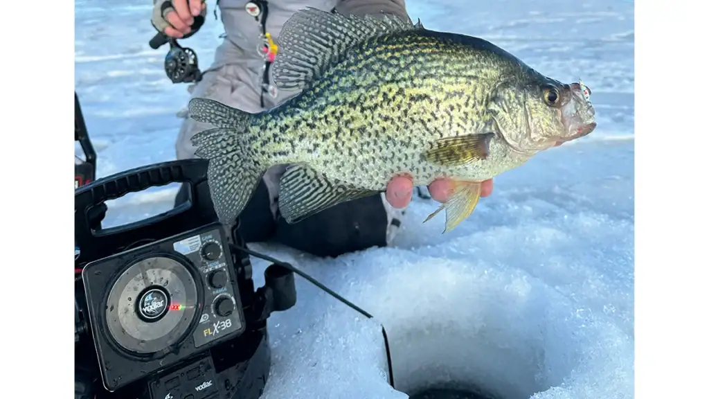 Vexilar FLX 38 ice fishing
