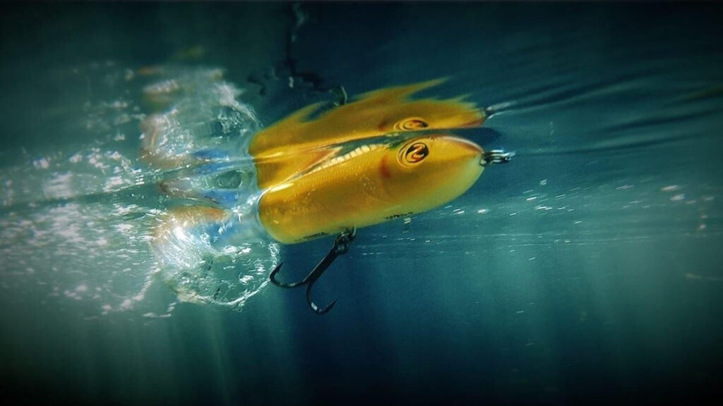 Whopper plopper viewed underwater