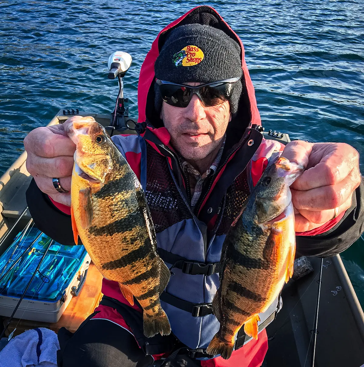 man in cold weather gear holding two yellow perch