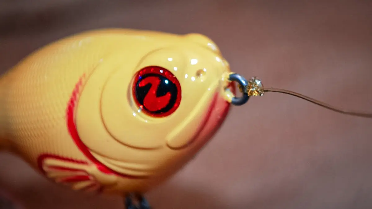 closeu p of a Whopper Plopper tied right to the line