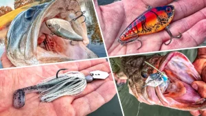 Lipless Crankbaits vs. Vibrating Jigs: When To Throw Each