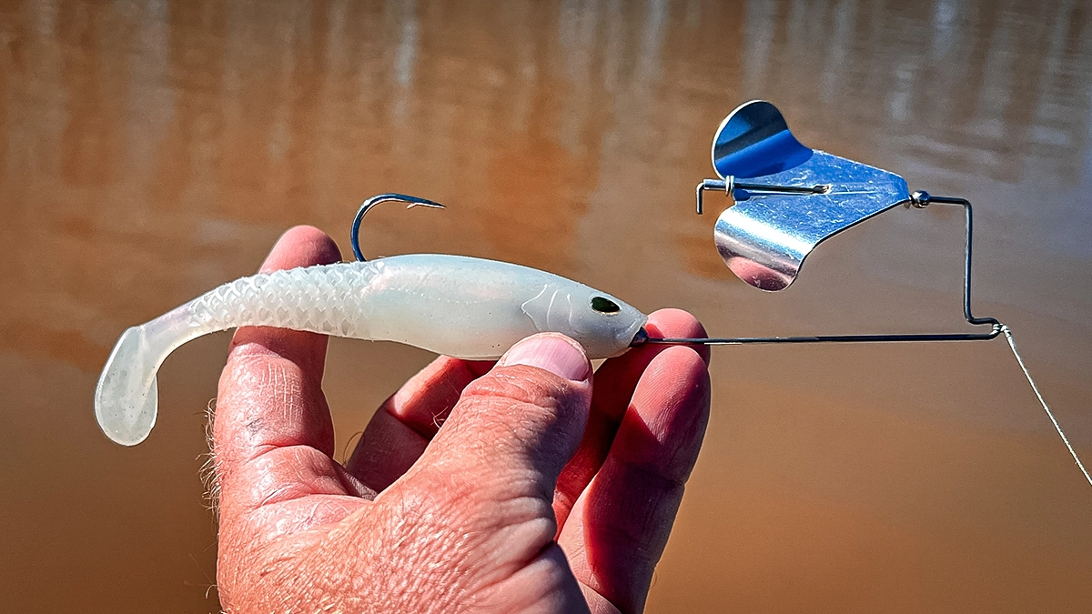 berkley unrigged cullshad on a buzzbait