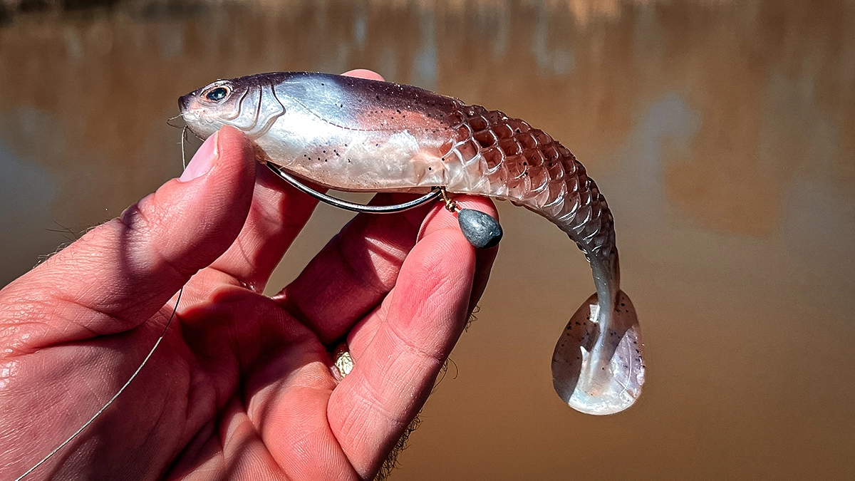 berkley unrigged cullshad on a jighead