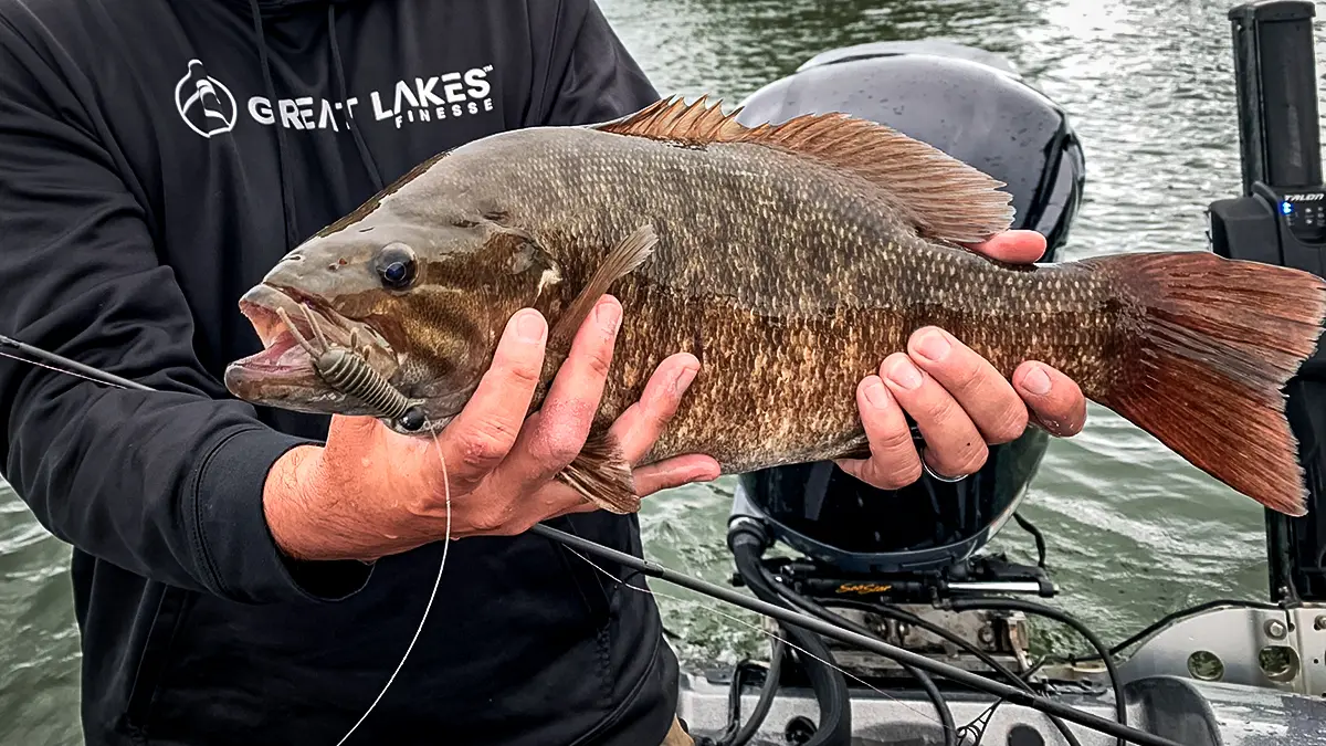 Great Lakes Finesse Ned Bug