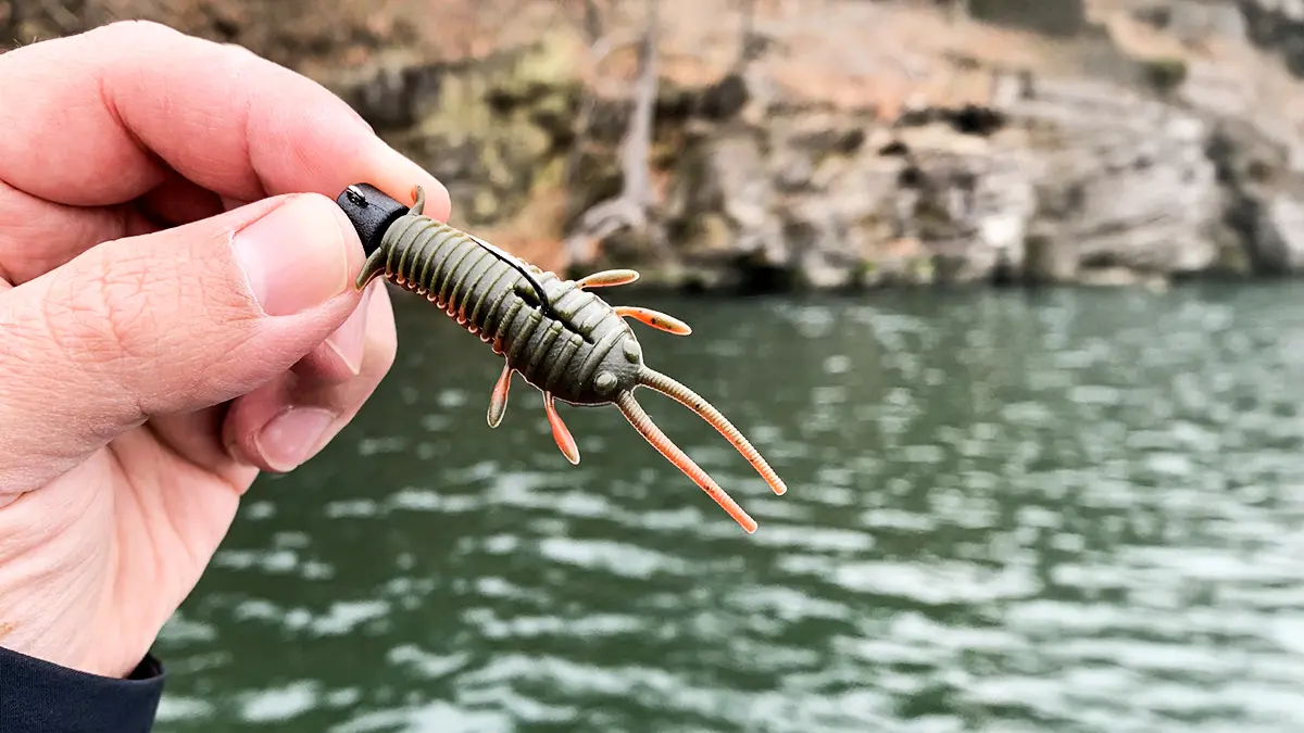 Great Lakes Finesse ned Bug