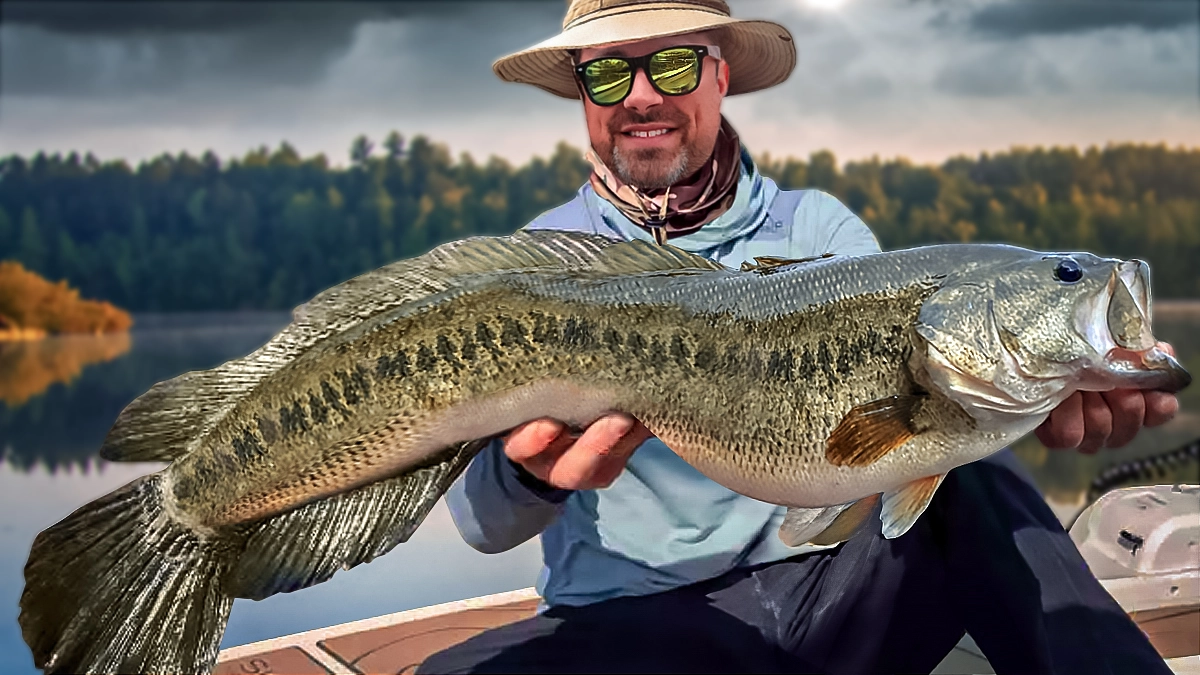 unusual hybrid caught in Delaware River