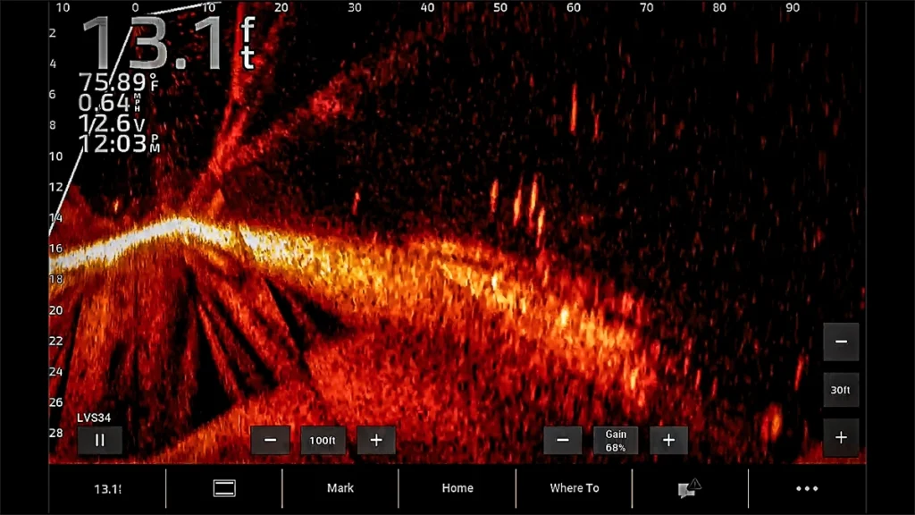 forward facing sonar FFS screen