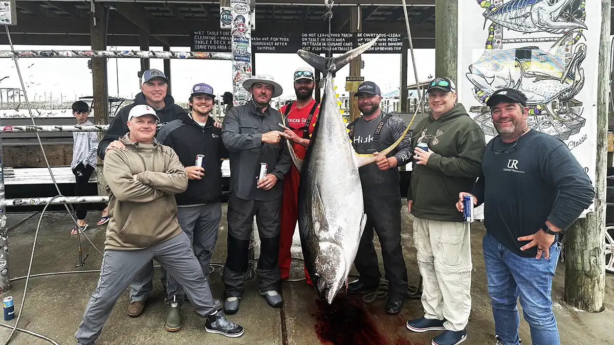 anglers with 265 pound gulf record tuna