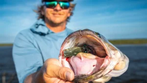 [VIDEO] Bass Fishing Florida Canals | ChatterBait and Frog Tactics