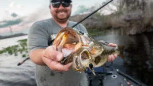 [VIDEO] John Cox’s Flipping and Pitching Method for Bedding Bass