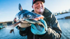 [VIDEO] How to Catch Catfish With Jig and Minnow Plastics