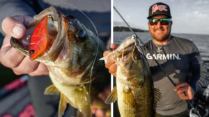 [VIDEO] Bladed Jig and Lipless Crankbait Tips for Prespawn Bass