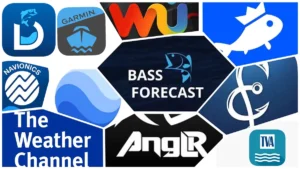 The Best Fishing Apps You Can Download Right Now