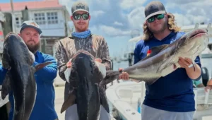 First-of-Its-Kind Huk Charleston Cobia Cup Set for June