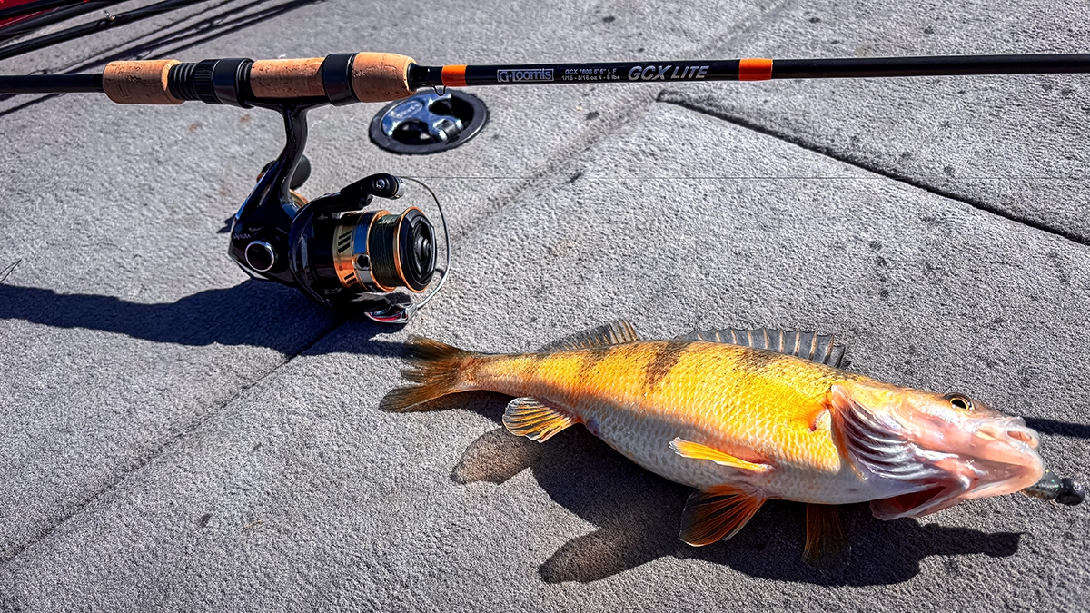 G. Loomis GCX Lite rod wtih a yellow perch