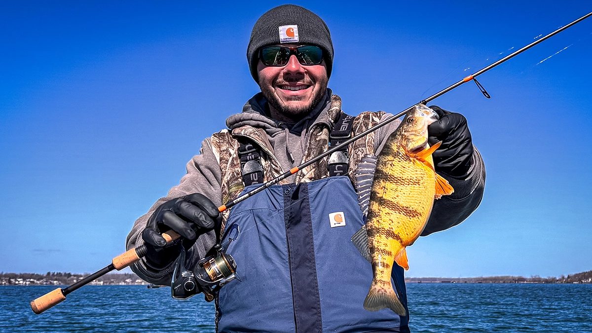 angler with a G. Loomis GCX Lite rod and a yellow perch