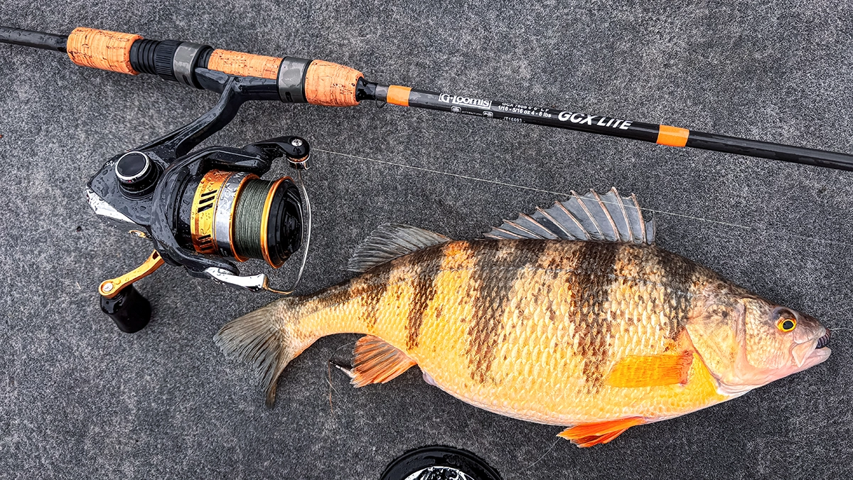 G. Loomis GCX Lite rod with a yellow perch