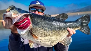 Jed Dickerson’s 14.5-lbs. Bass Breaks SoCal Lake Poway Record