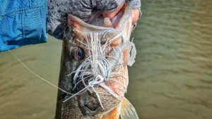 Nomad Design Badlands Swim Jig: Lure Review