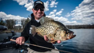 The Best Fishing Lines for Crappie