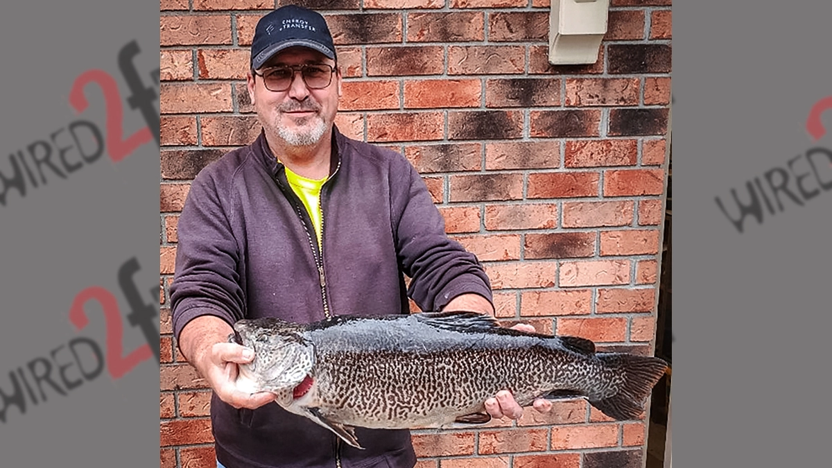 Robert Riggs with his WV record Tiger Trout