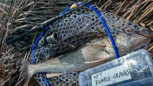 Best Walleye Rods for 2025