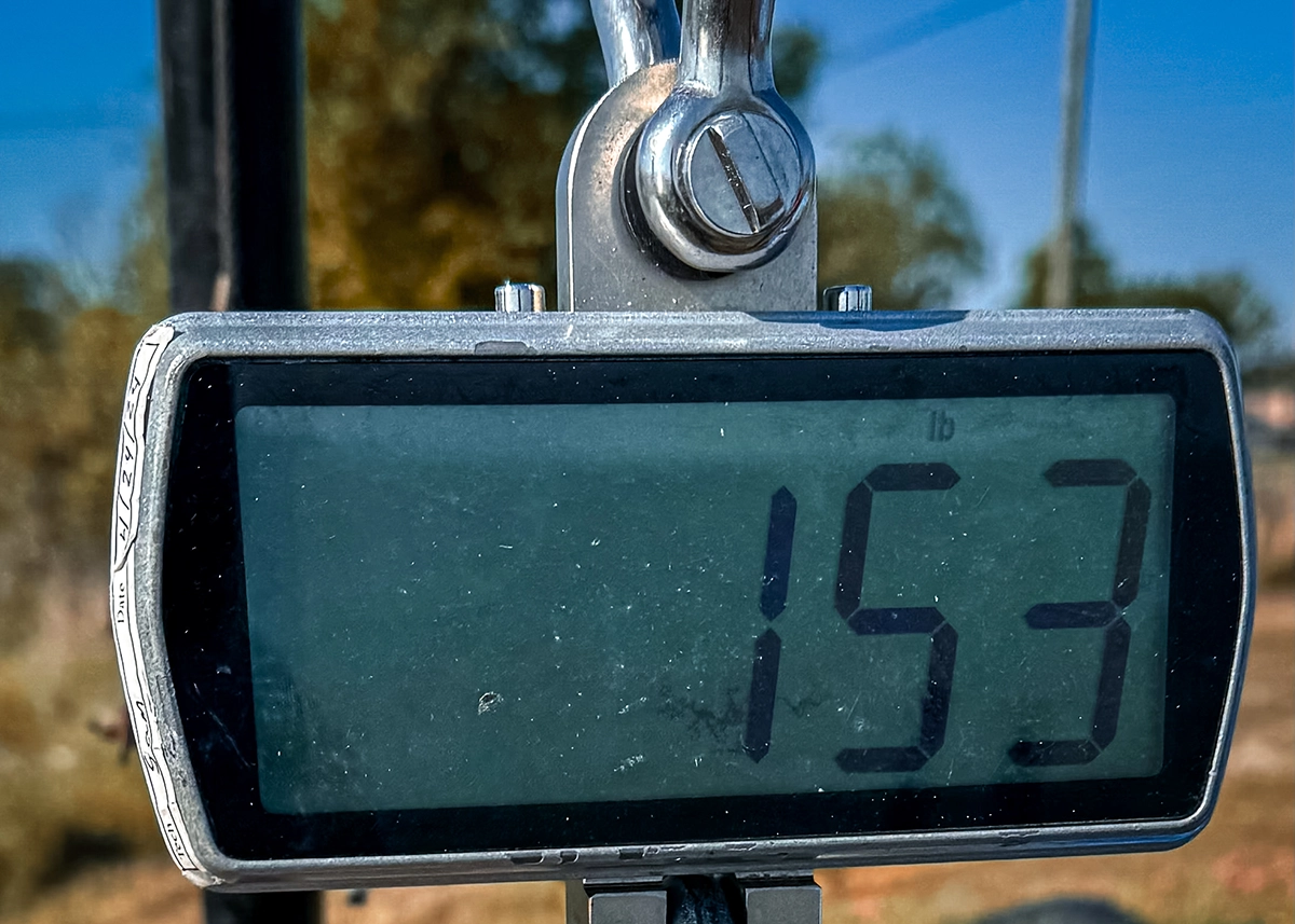 new 2-lb. IGFA pending record alligator gar weight of 253 pounds