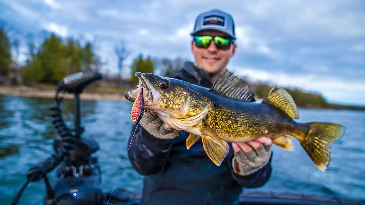best-walleye-baits-green-bay
