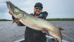 MN-FISH Launches Landmark Leech Lake Muskie Study